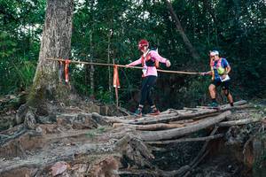 BIB: 
                            <button type="button" onclick="openModal(27313123)" class="btn btn-primary btn-sm float-right btn-popup" data-toggle="modal" data-target=".modal-high-quality">
                        <i class="fas fa-shopping-cart"></i> Add to Cart
                    </button>
                                            <button type="button" onclick="isThisMe(27313123, true)" class="btn btn-success btn-sm float-right btn-popup btn-isme hidden" data-toggle="tooltip" data-placement="bottom" title="นี่คือรูปของคุณใช่ไหม คลิกที่นี่เพื่อเอาเข้าอัลบั้ม">
                        <i class="fas fa-plus"></i> Add to album
                    </button>
                    <button type="button" onclick="isThisMe(27313123, false)" class="btn btn-warning btn-sm float-right btn-popup btn-isnotme hidden">
                        <i class="fas fa-ban"></i> Remove from album
                    </button>